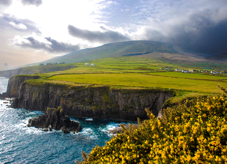 6 Benefits of Choosing Private Tours of Ireland over Group Tours