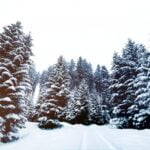 Top 5 Places to Visit Around the World During Winters
