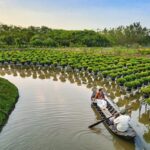 Top Experiences in Vietnam: A Journey Through Culture, Nature, and Cuisine  