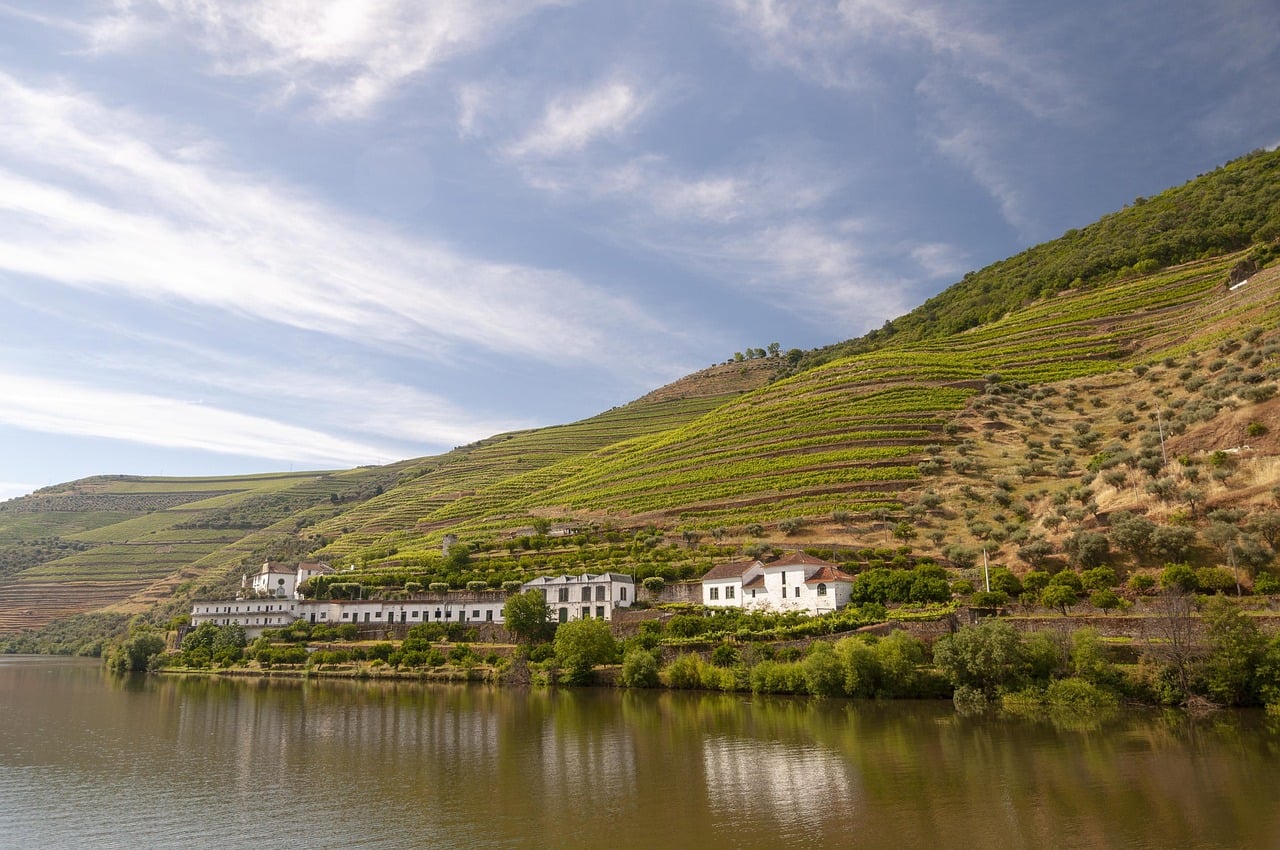 Your Ultimate Travel Guide to Porto and the Douro Valley