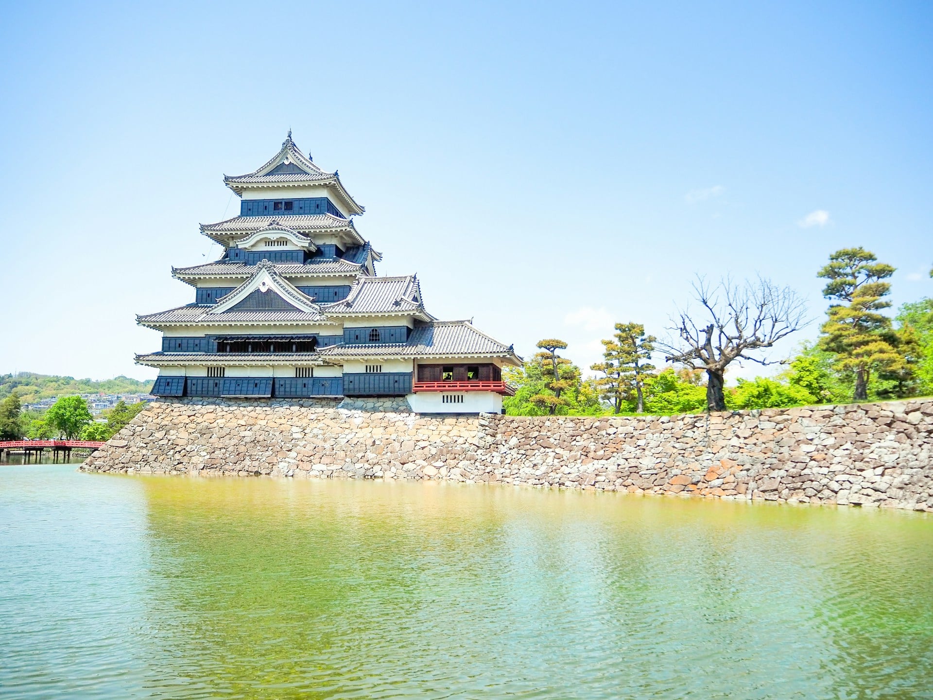 Experience the Charm of Japan in May