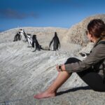 South Africa in May: Your Adventure Starts Here