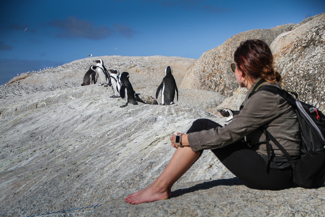 South Africa in May: Your Adventure Starts Here
