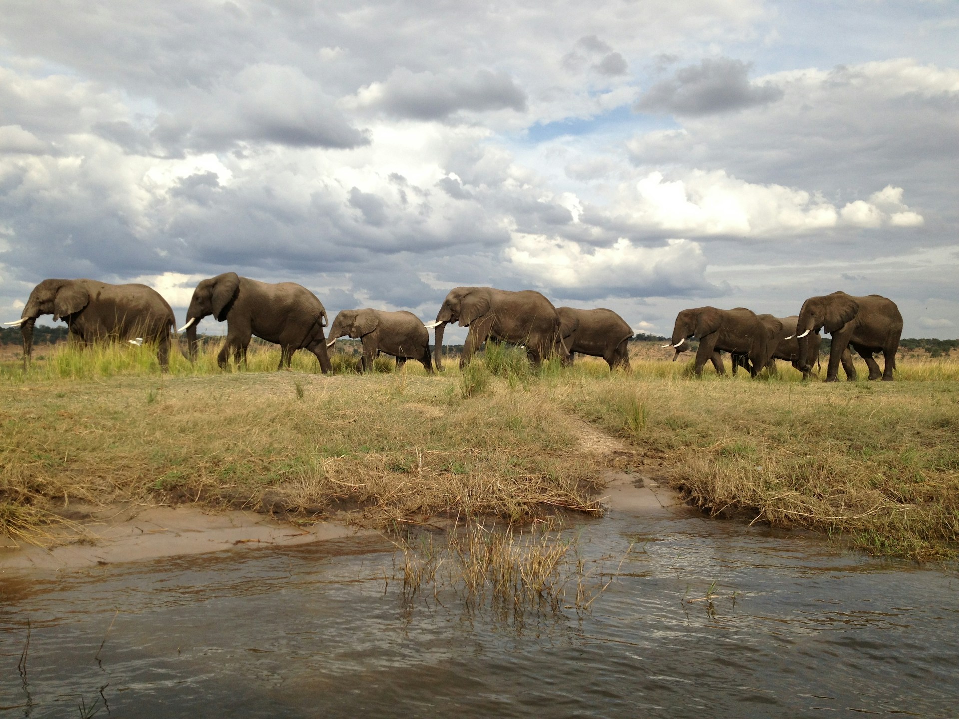 Top Things to Do in Botswana: Unmissable Adventures and Cultural Highlights