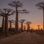 Best Things to Do in Madagascar: Lemurs, Landscapes & More