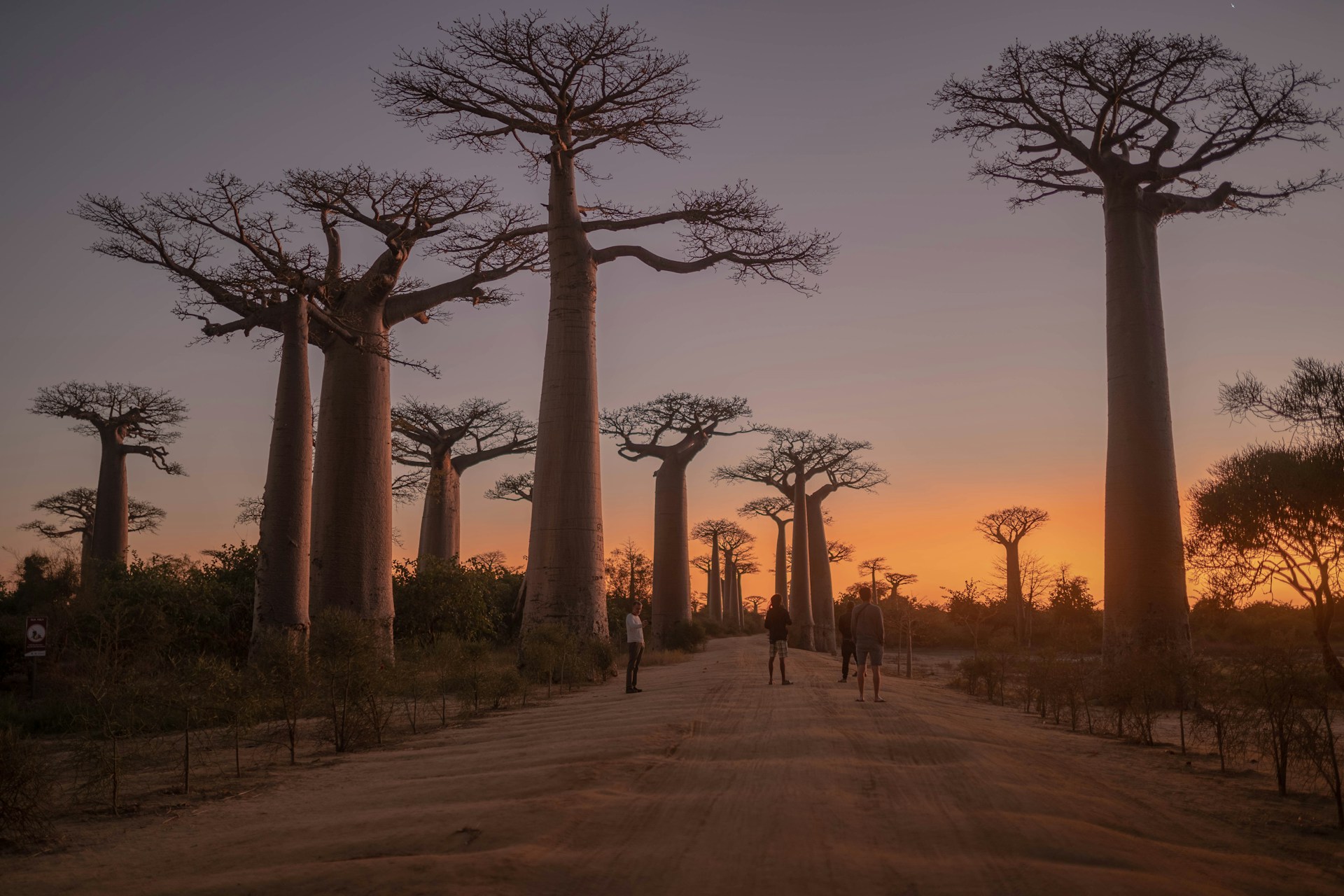 Best Things to Do in Madagascar: Lemurs, Landscapes & More