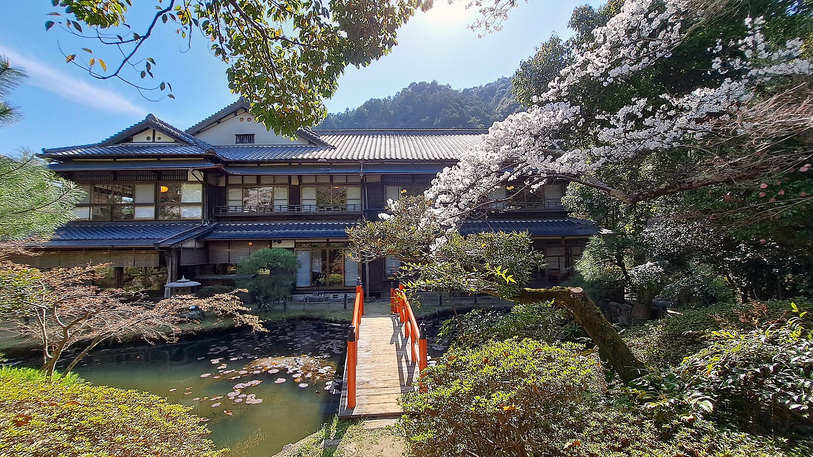 Best Wellness Havens & Onsen in Japan: Hot Springs, Zen & Retreats 2025–26