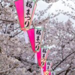 Cherry Blossom in Japan: Festivals, Matsuri & Seasonal Magic