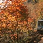 Is the Japan Rail Pass Worth It? Complete Cost Analysis, Routes & Alternatives