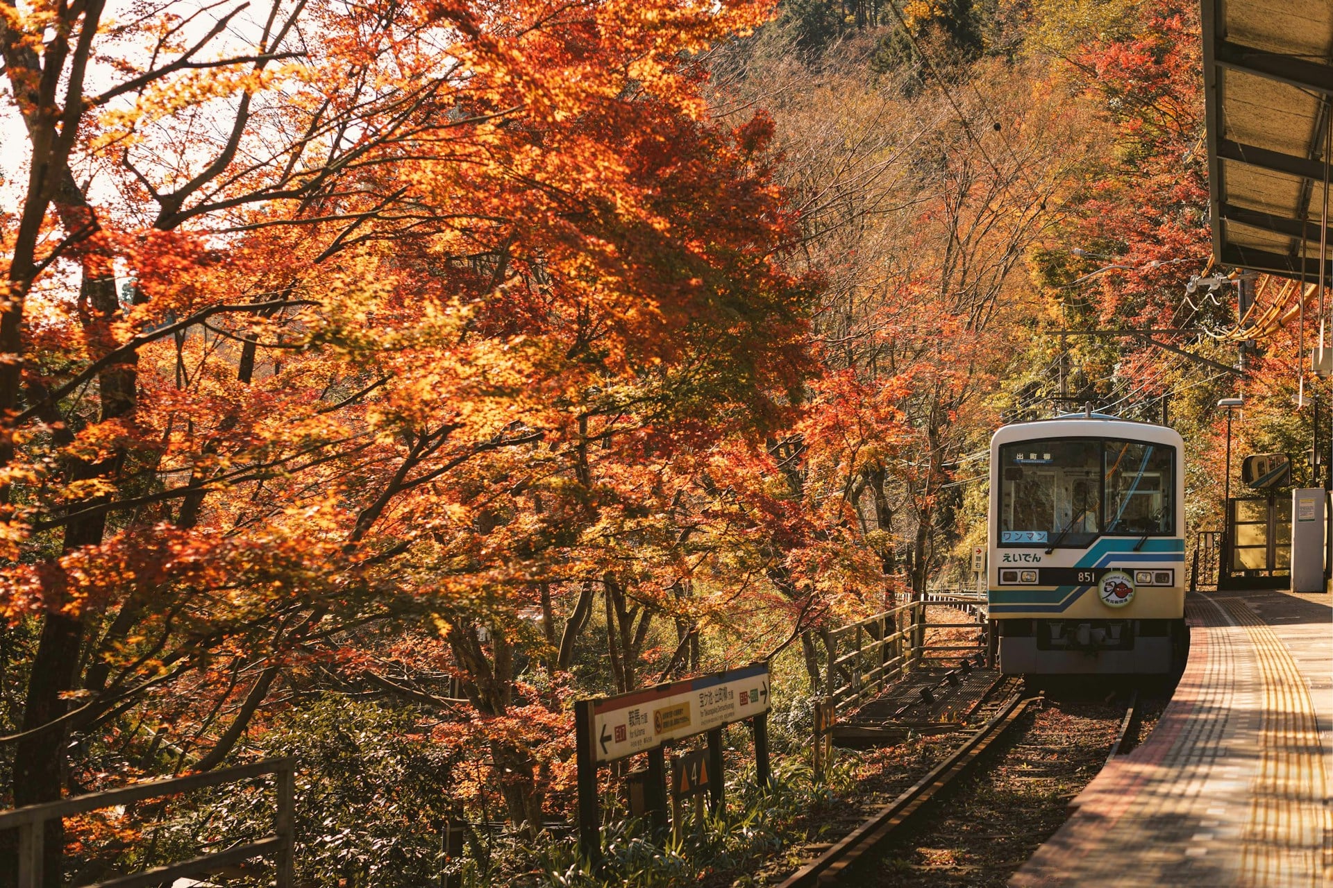 Is the Japan Rail Pass Worth It? Complete Cost Analysis, Routes & Alternatives