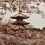 China Travel Tips: 20 Things First-Time Visitors Need to Know Before They Go