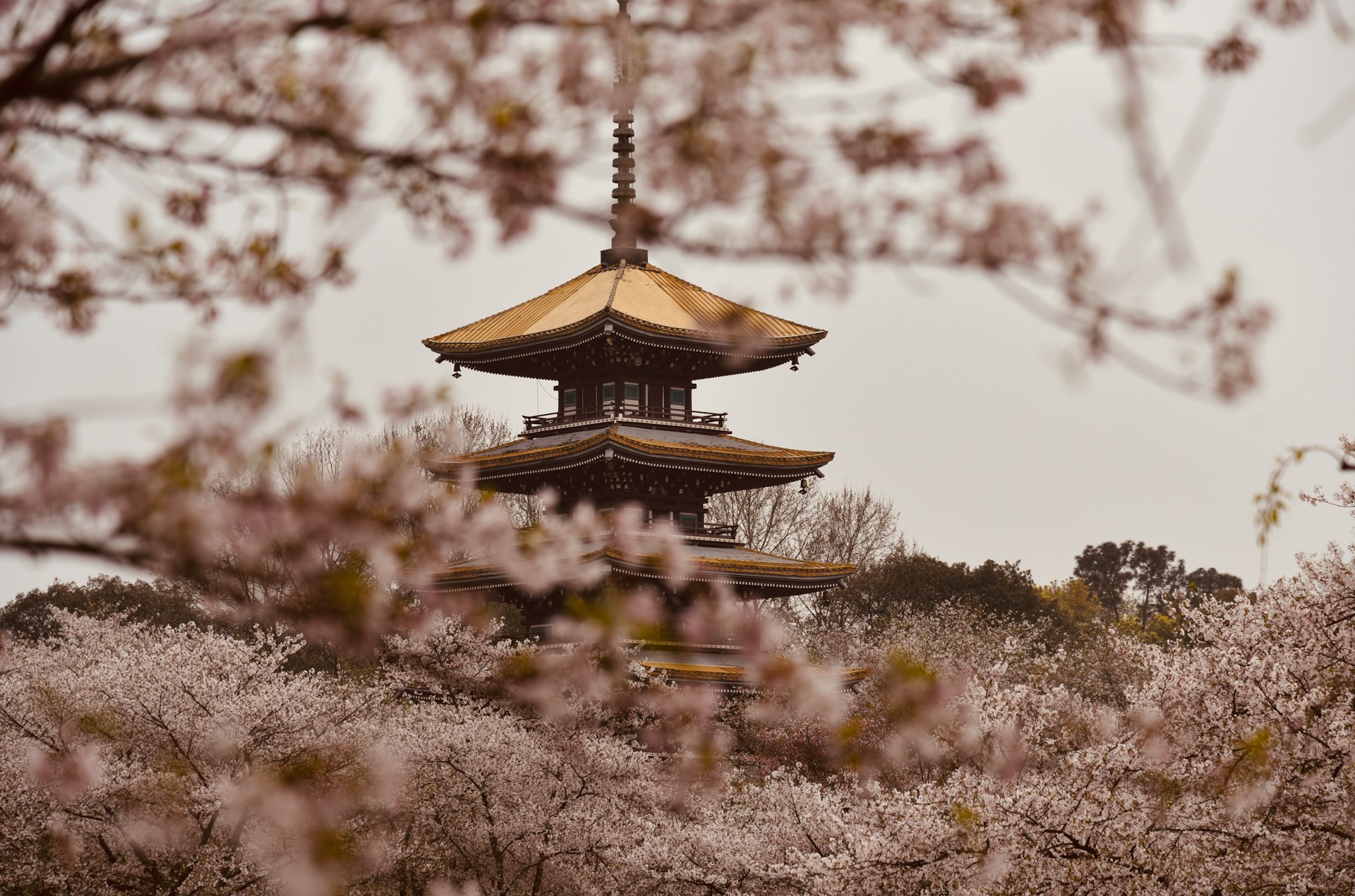 China Travel Tips: 20 Things First-Time Visitors Need to Know Before They Go