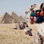 Egypt Travel Guide for First-Time Visitors: Pyramids, Nile & Essential Tips