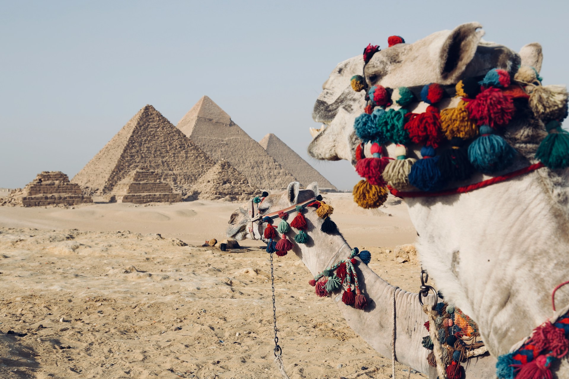 Egypt Travel Guide for First-Time Visitors: Pyramids, Nile & Essential Tips