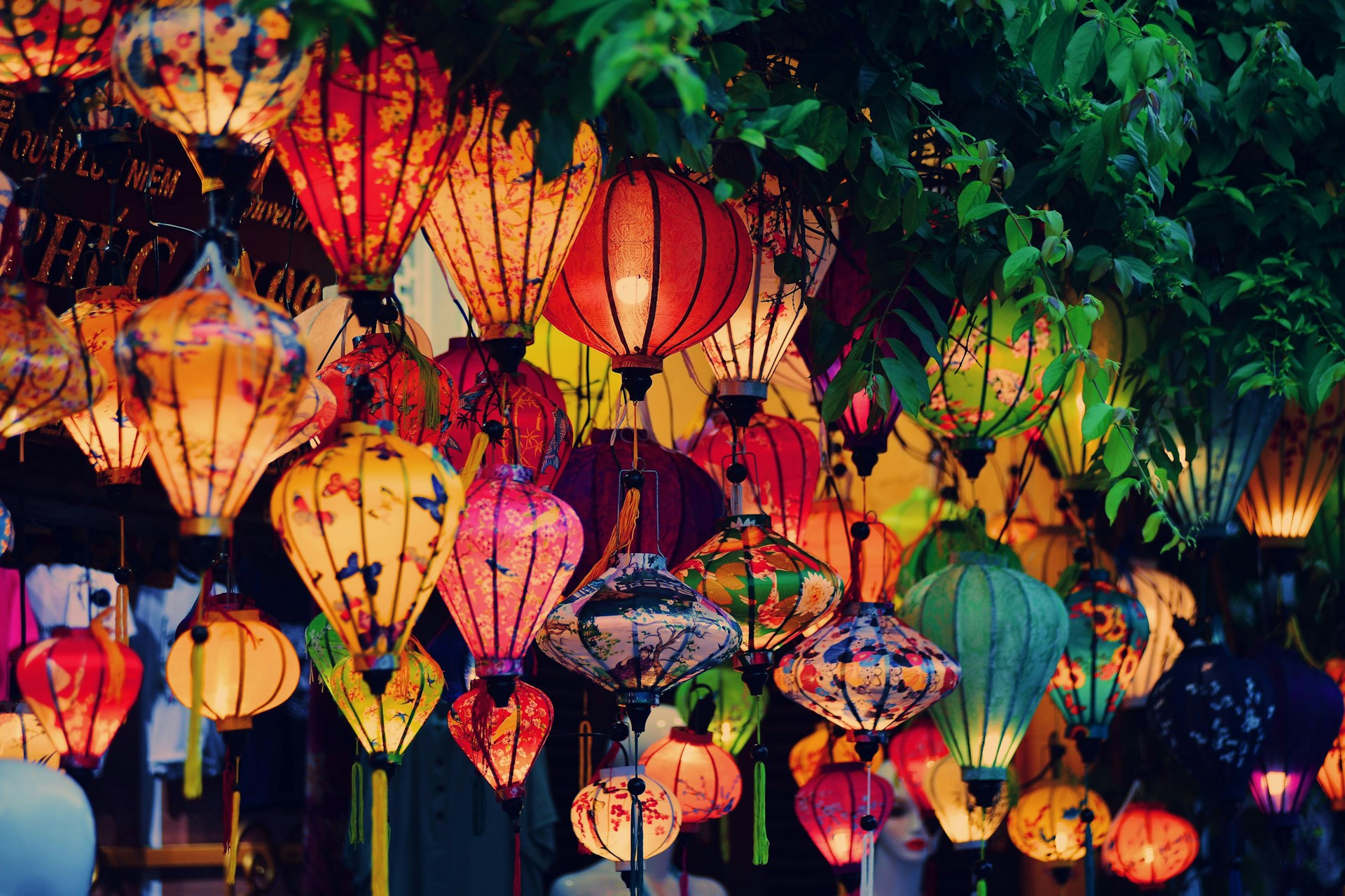 Vietnam Travel Guide for First‑Time Visitors: Where to Go, Costs and Essential Tips