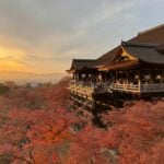 Kyoto Itinerary: 3–5 Day Itineraries and the Best Day Trips to Nara, Arashiyama and Beyond