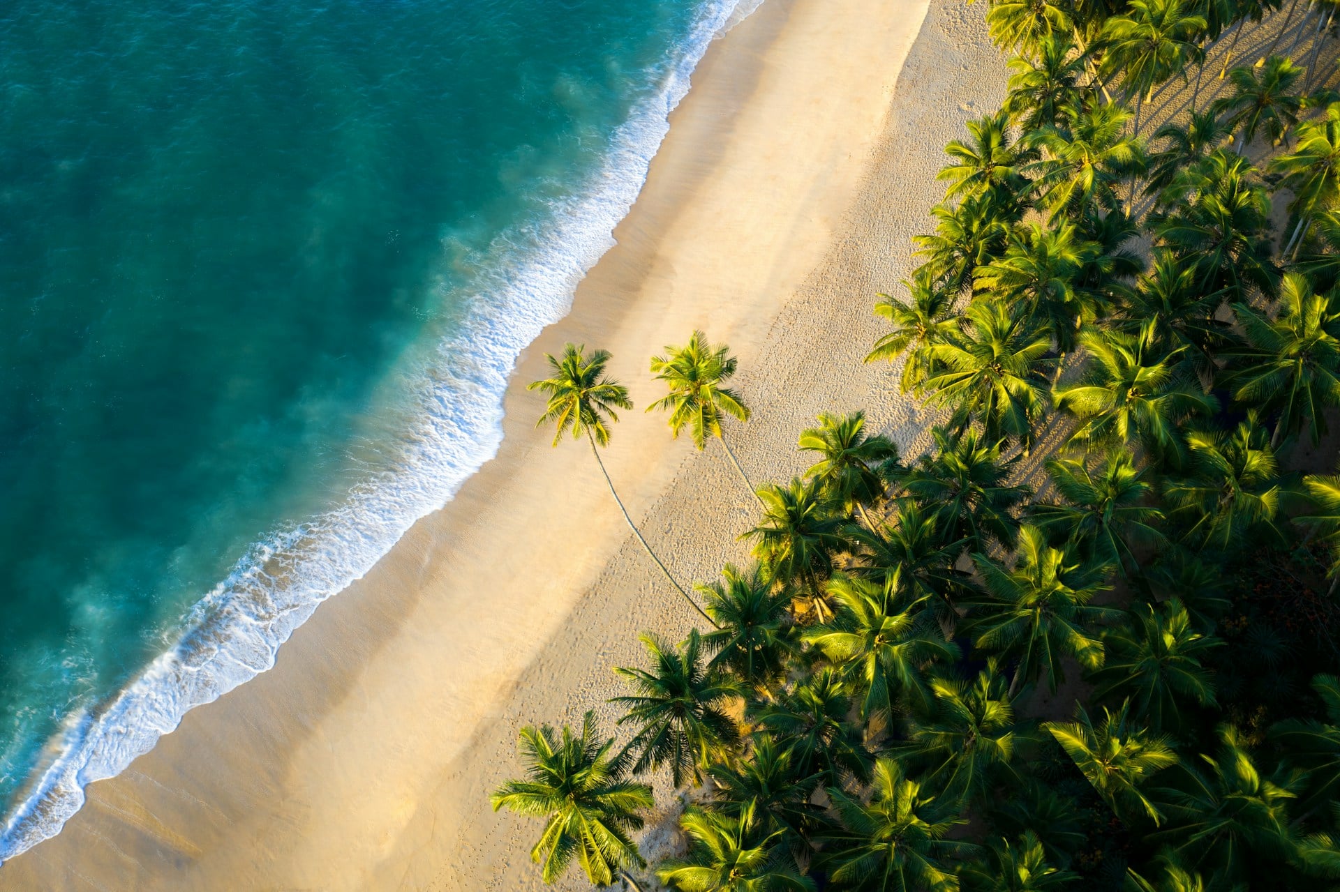Which Are the Top 25 Beaches in Sri Lanka? Where to Swim, Surf & Relax