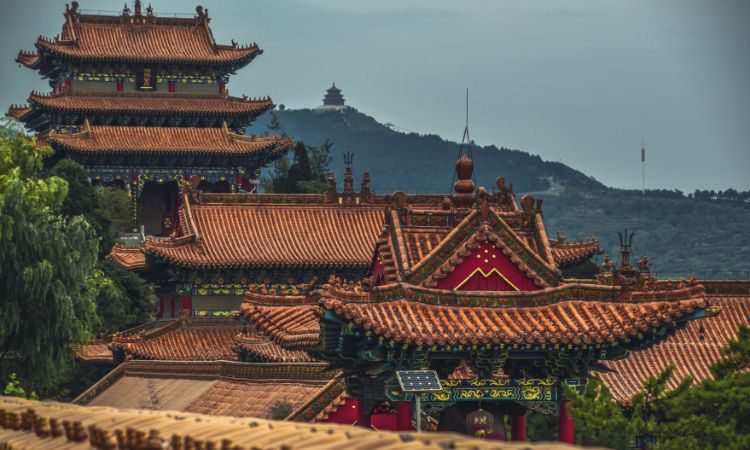 china guided tour vs diy
