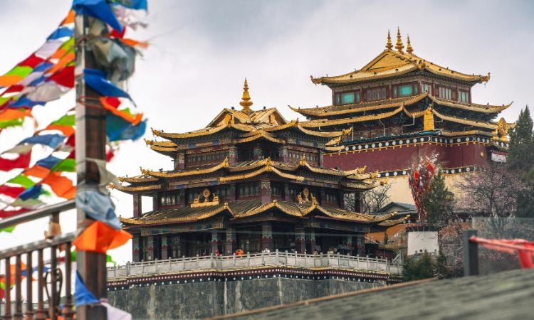 custom china tours
