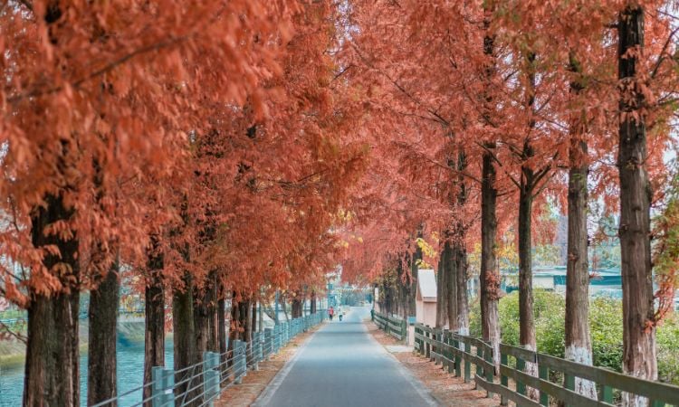 china small group tours vs private tours