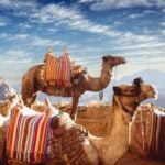 Egypt in October: The Sun Festival of Abu Simbel and Desert Culture