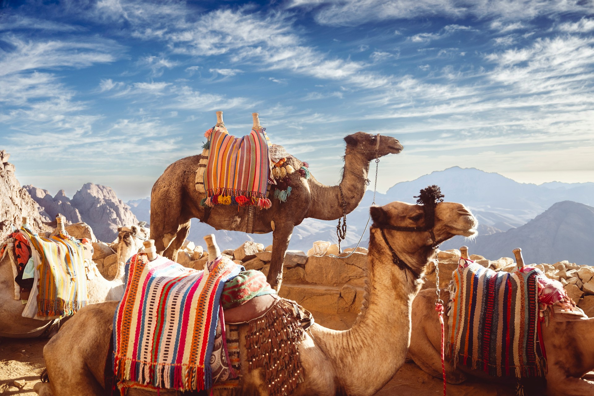 Egypt in October: The Sun Festival of Abu Simbel and Desert Culture