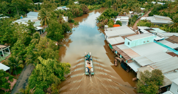 Plan a Trip to Vietnam