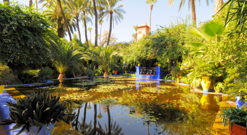 Marrakech for first time visitors